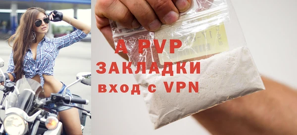 стаф Волоколамск