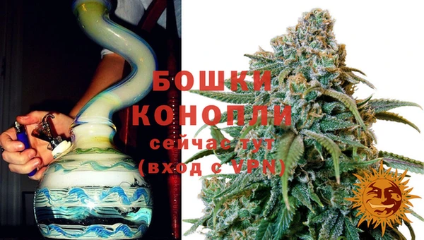 стаф Волоколамск