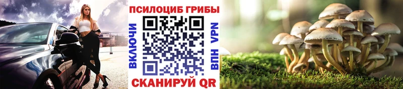 OMG ONION  купить наркоту  Ахтырский  Псилоцибиновые грибы Psilocybine cubensis 